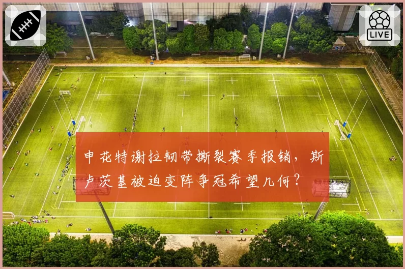 申花特谢拉韧带撕裂赛季报销，斯卢茨基被迫变阵争冠希望几何？