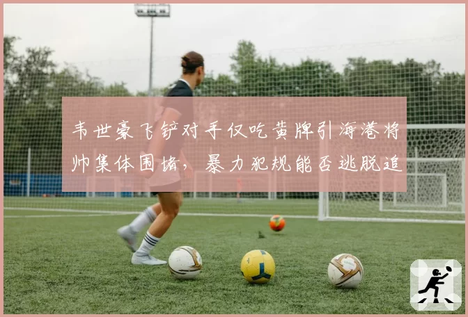 韦世豪飞铲对手仅吃黄牌引海港将帅集体围堵，暴力犯规能否逃脱追加处罚