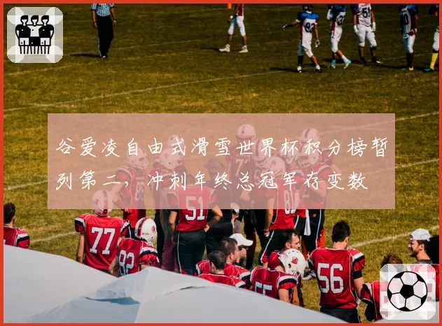 谷爱凌自由式滑雪世界杯积分榜暂列第二,冲刺年终总冠军存变数