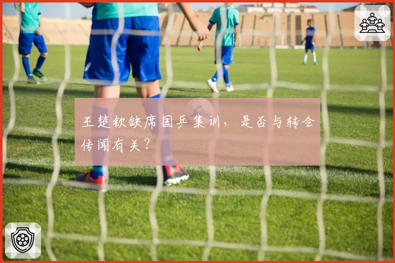 王楚钦缺席国乒集训，是否与转会传闻有关？